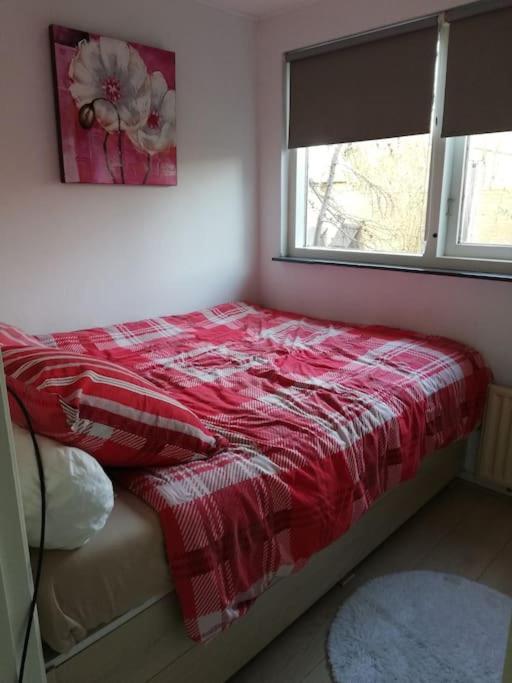 Cottage Egmond-Binnen Met Besloten Tuin Exterior foto