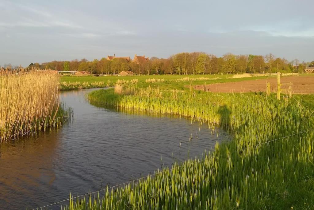 Cottage Egmond-Binnen Met Besloten Tuin Exterior foto